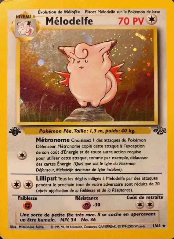 Mélodelfe 1 – Jungle