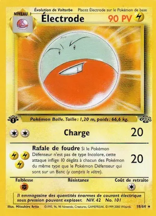 Électrode n° 18 – Jungle