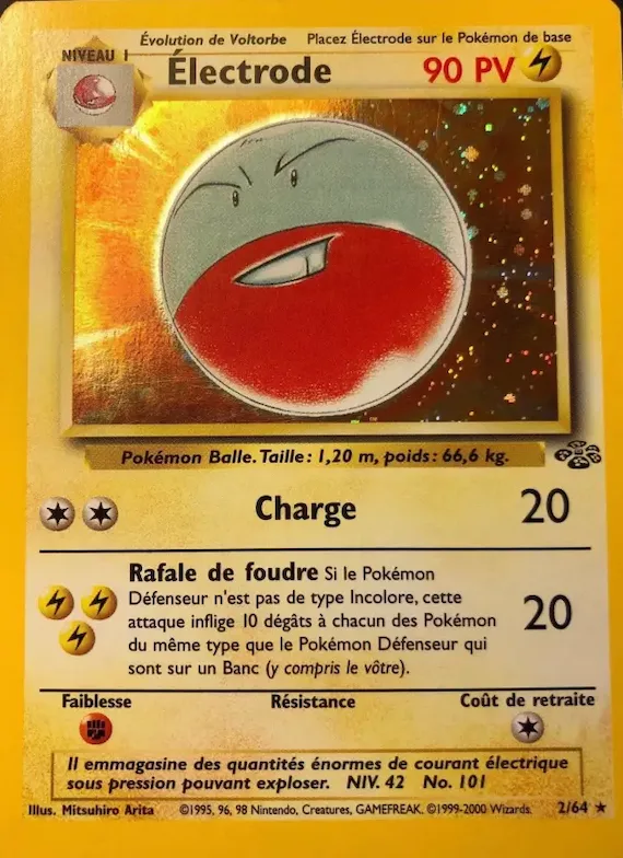Électrode 2 – Jungle