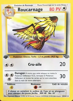 Roucarnage n° 24 – Jungle