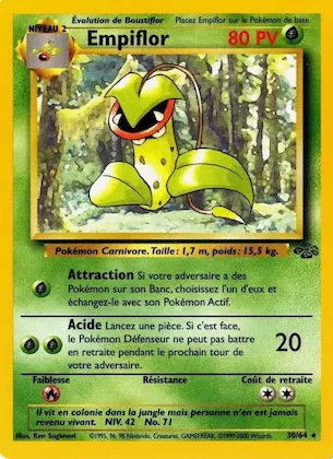 Empiflor n° 30 – Jungle