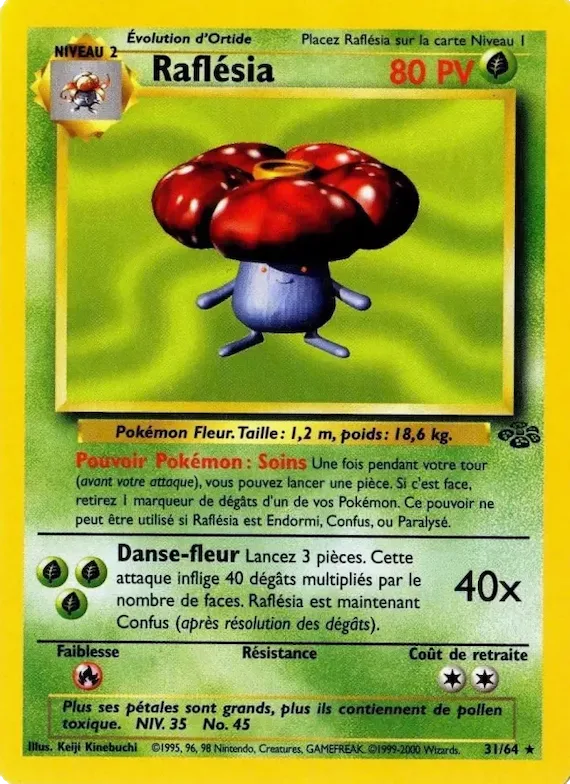 Raflésia 31 – Jungle