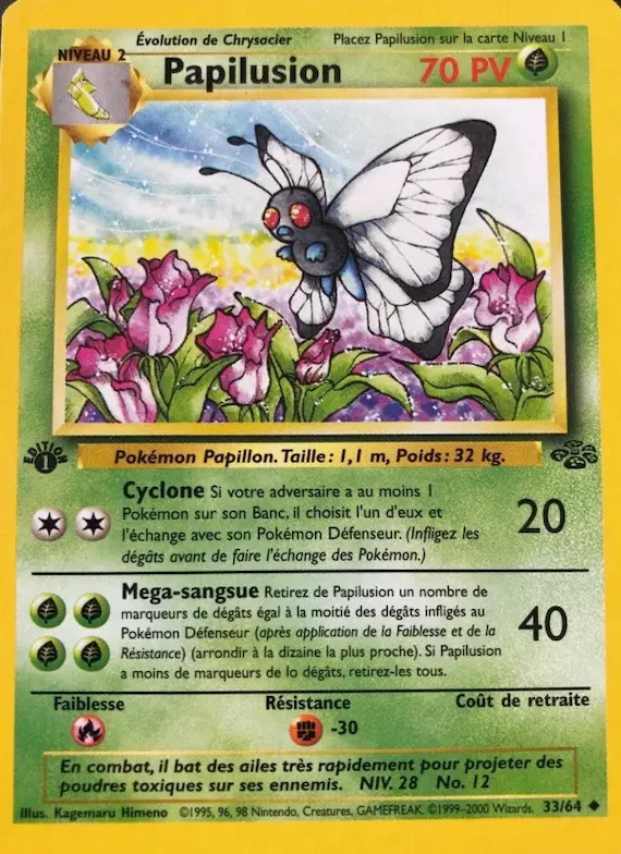 Papilusion 33 – Jungle