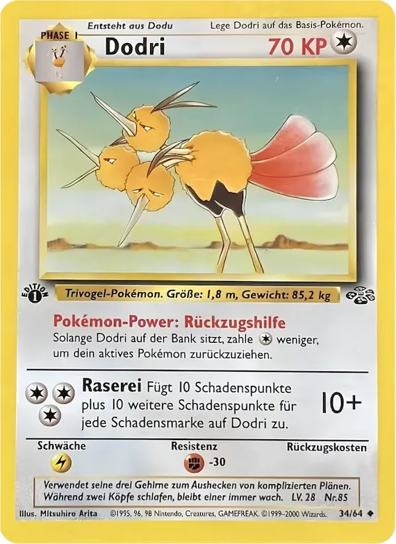 Dodri 34 – Dschungel