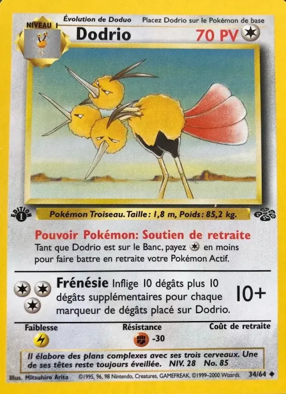 Dodrio 34 – Jungle