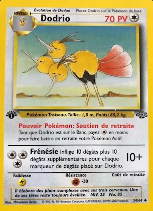 Dodrio n° 34 – Jungle