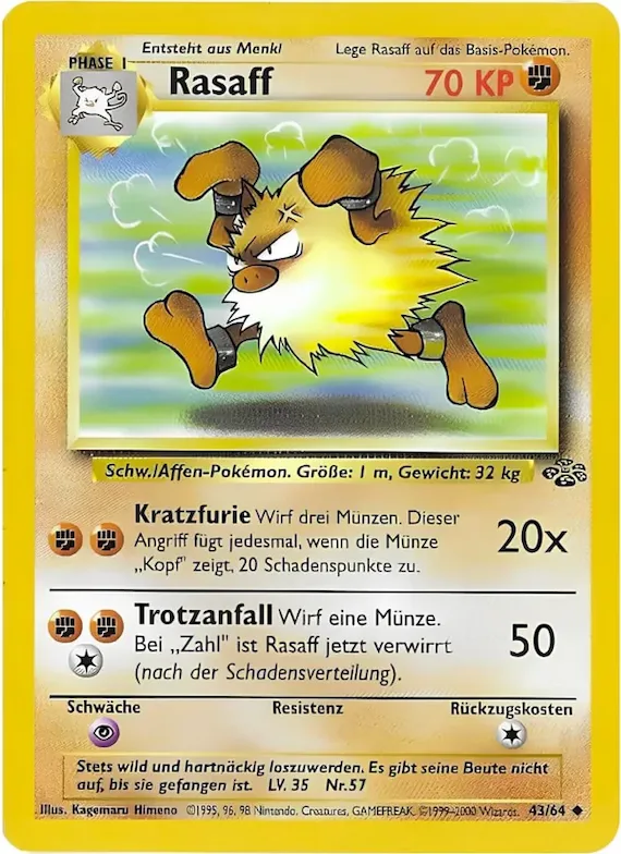 Rasaff 43 – Dschungel