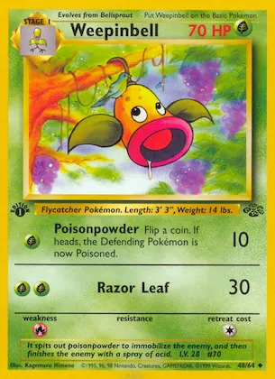 Weepinbell #48 – Jungle