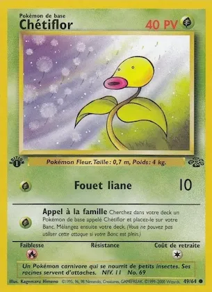 Chétiflor n° 49 – Jungle