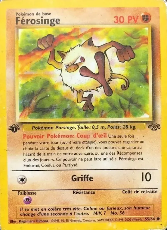 Férosinge 55 – Jungle