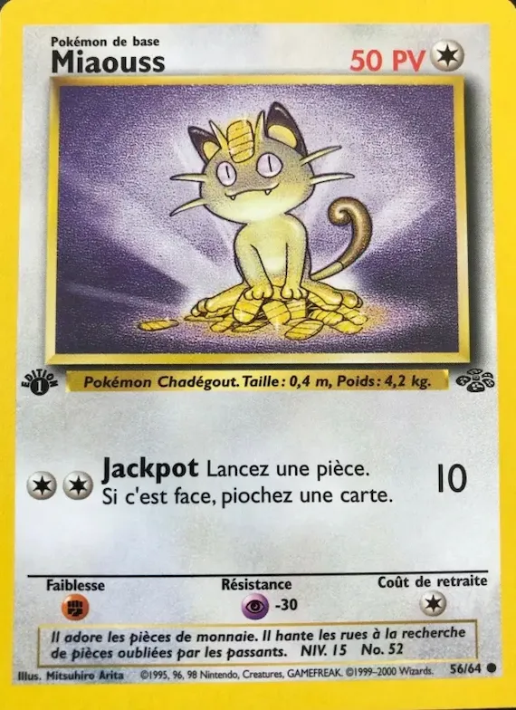 Miaouss 56 – Jungle