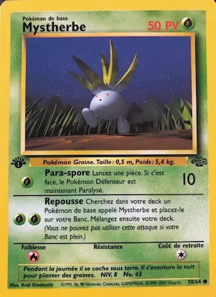 Mystherbe n° 58 – Jungle