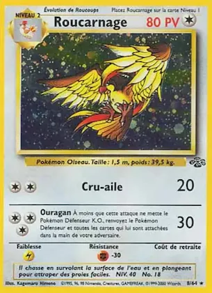 Roucarnage 8 – Jungle