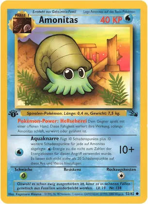 Amonitas Nr. 52 – Fossil