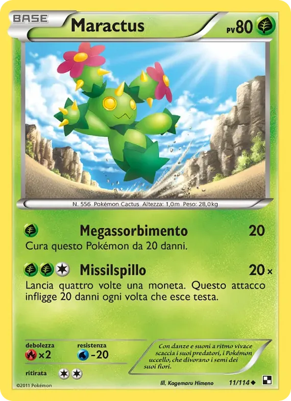 Maractus 11 – Nero e Bianco