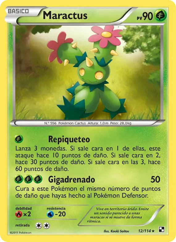 Maractus 12 – Negro y Blanco