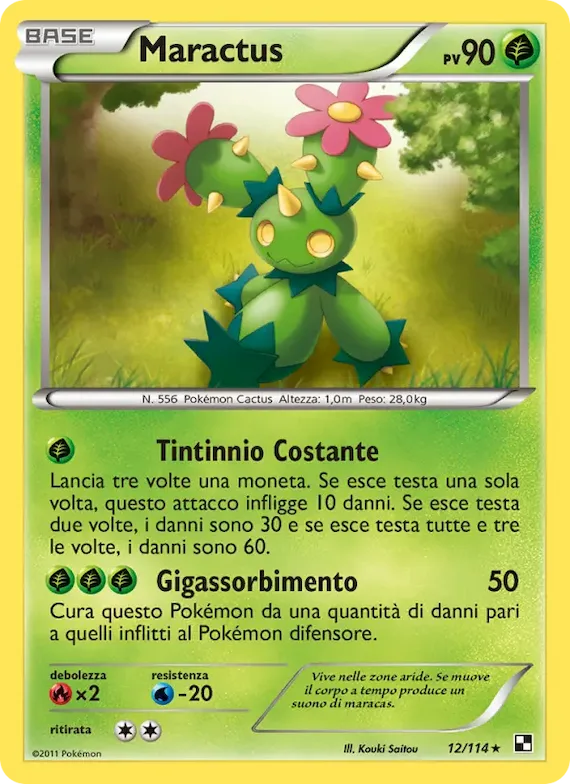 Maractus 12 – Nero e Bianco