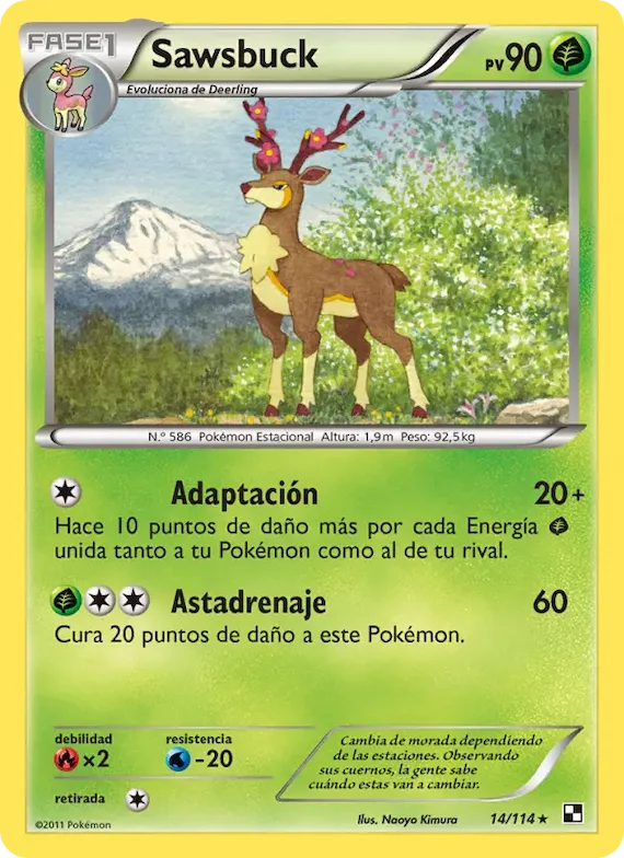 Sawsbuck 14 – Negro y Blanco