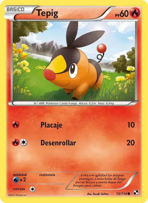 Tepig 15 – Negro y Blanco