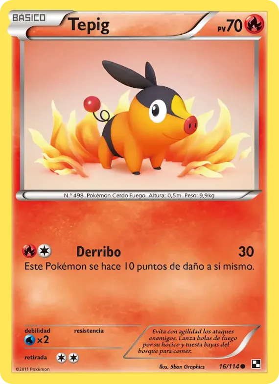 Tepig 16 – Negro y Blanco