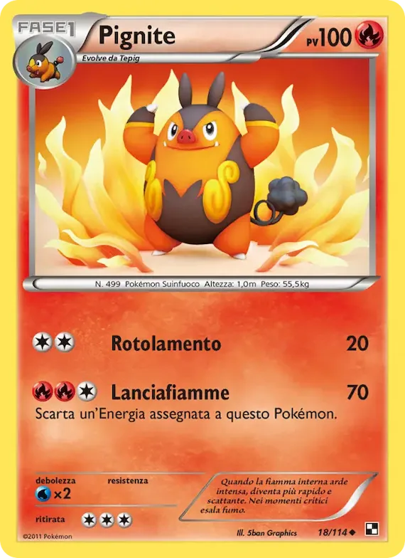 Pignite 18 – Nero e Bianco