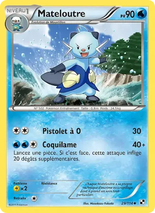 Mateloutre n° 29 – Noir & Blanc
