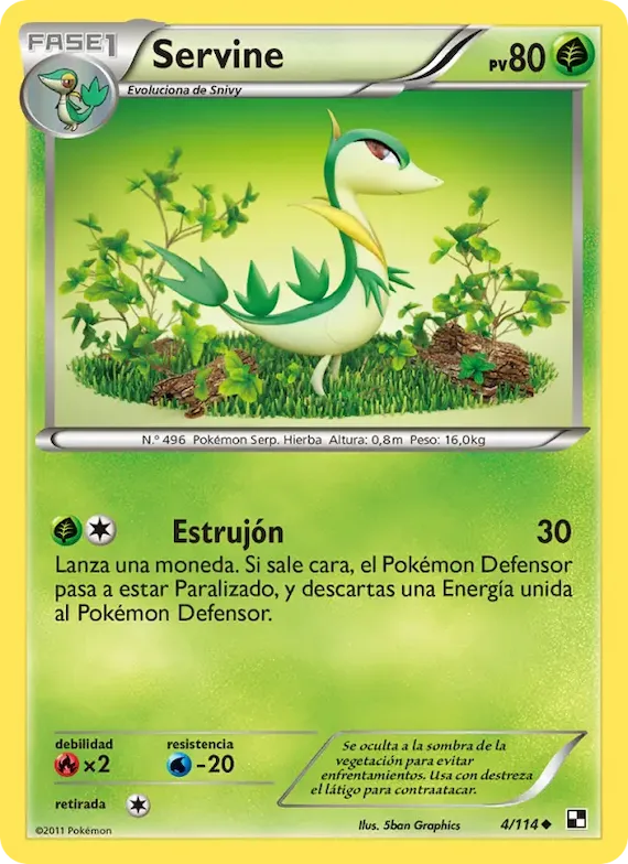 Servine 4 – Negro y Blanco