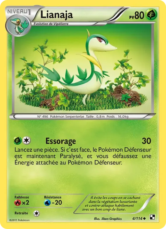 Lianaja 4 – Noir & Blanc