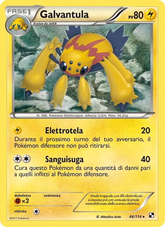 Galvantula 46 – Nero e Bianco