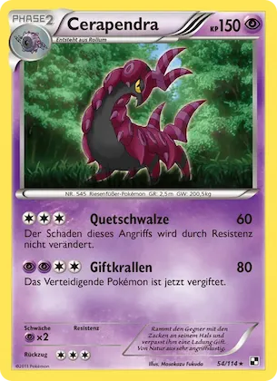 Cerapendra Nr. 54 – Schwarz & Weiß