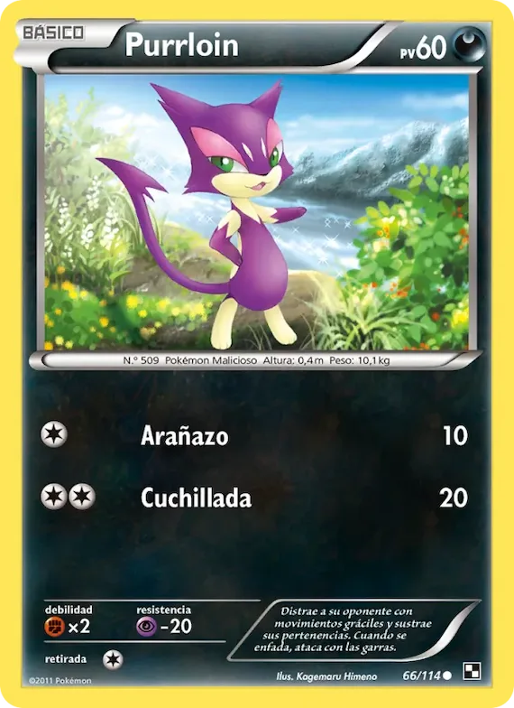 Purrloin 66 – Negro y Blanco
