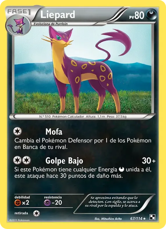 Liepard 67 – Negro y Blanco