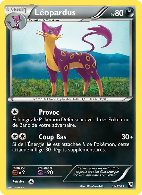 Léopardus 67 – Noir & Blanc