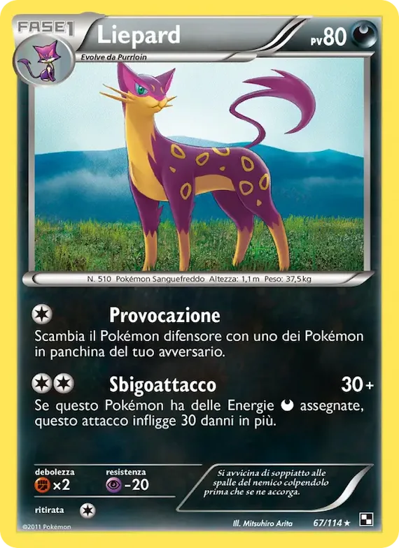 Liepard 67 – Nero e Bianco