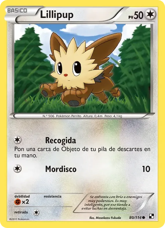 Lillipup 80 – Negro y Blanco