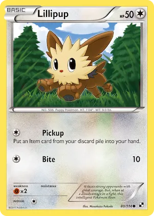 Lillipup #80 – Black & White