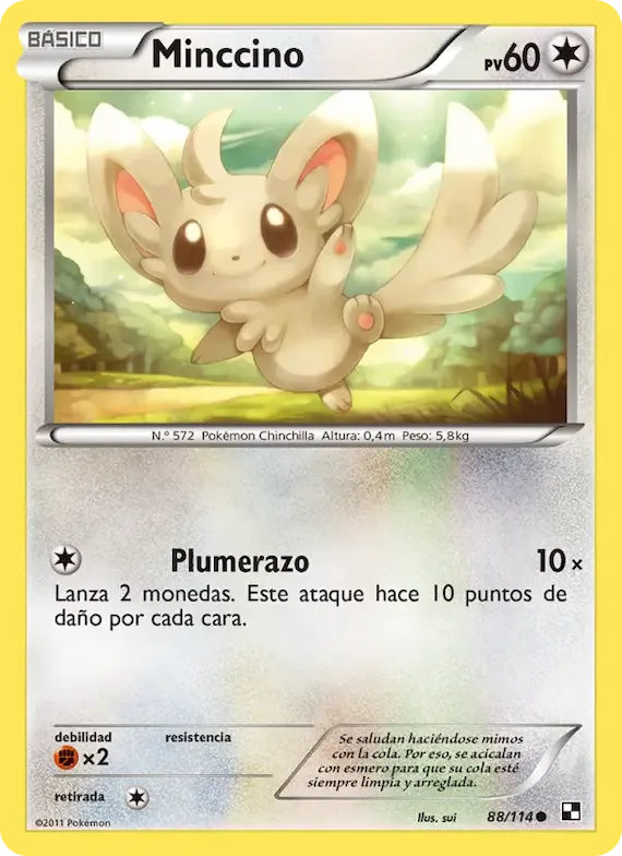Minccino 88 – Negro y Blanco