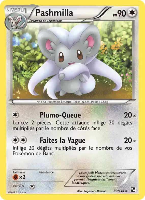 Pashmilla 89 – Noir & Blanc