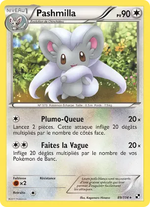 Pashmilla n° 89 – Noir & Blanc