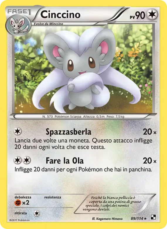 Cinccino 89 – Nero e Bianco