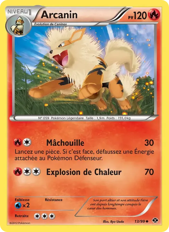 Arcanin 13 – Destinées Futures