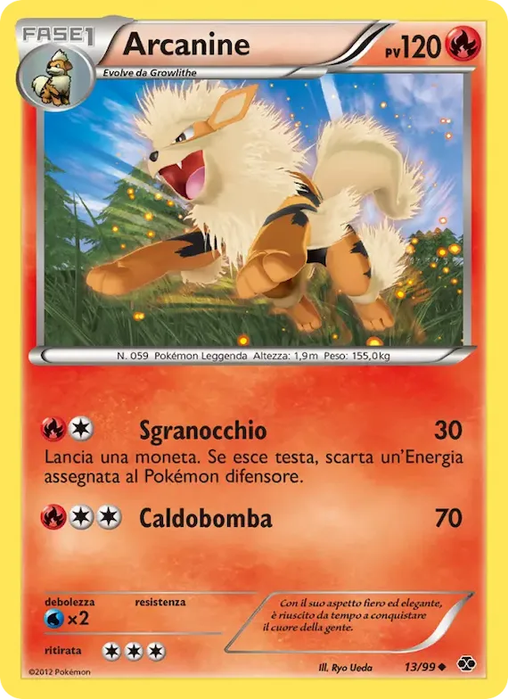 Arcanine 13 – Destini Futuri