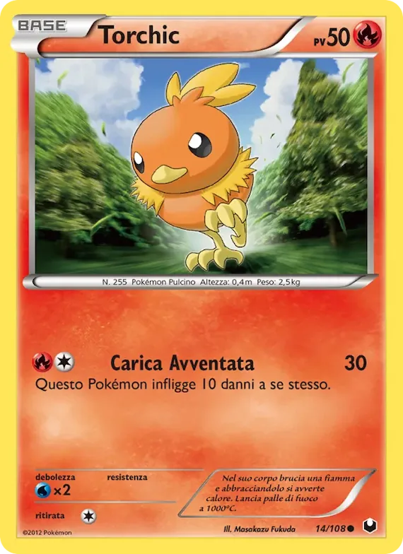 Torchic 14 – Esploratori delle Tenebre