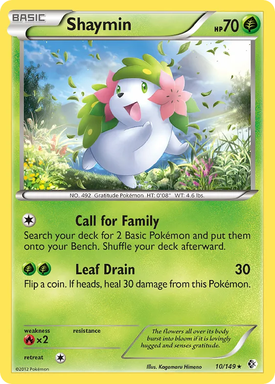 Shaymin #10 – Boundaries Crossed