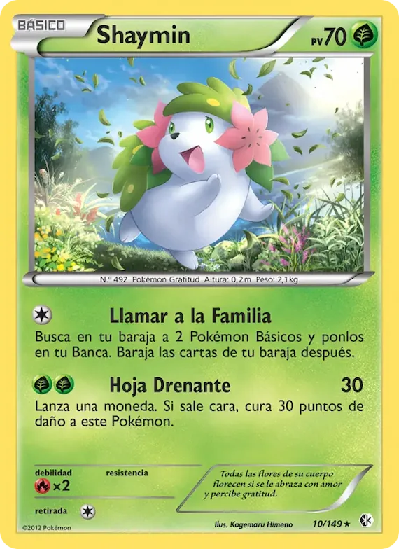 Shaymin 10 – Fronteras Cruzadas