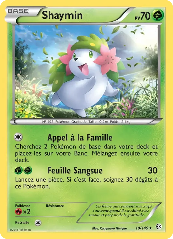 Shaymin 10 – Frontières Franchies