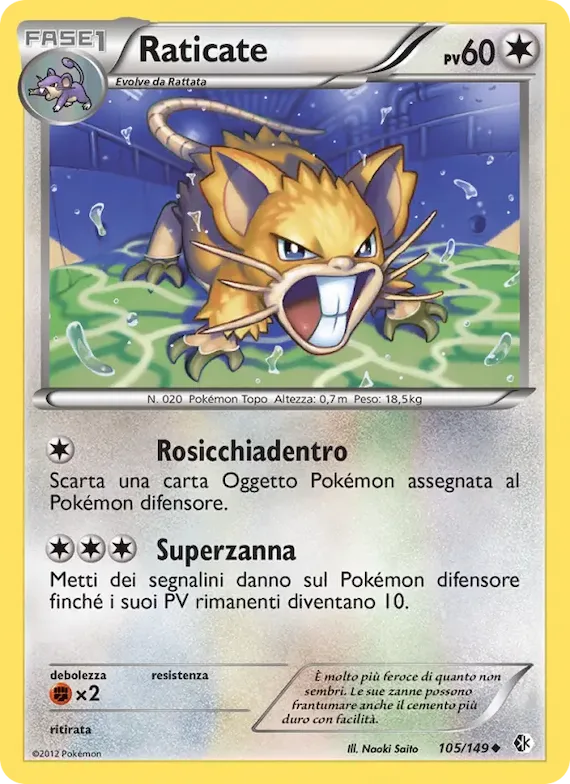 Raticate 105 – Confini Varcati
