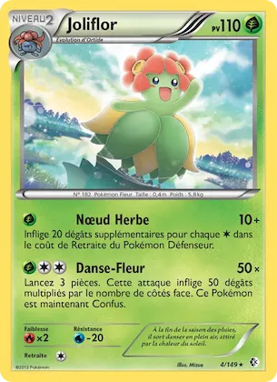 Joliflor n° 4 – Frontières Franchies
