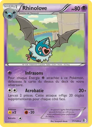 Rhinolove n° 71 – Frontières Franchies