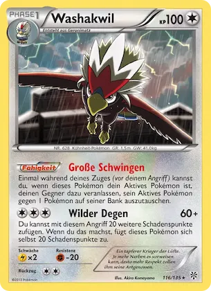 Washakwil Nr. 116 – Plasma-Sturm